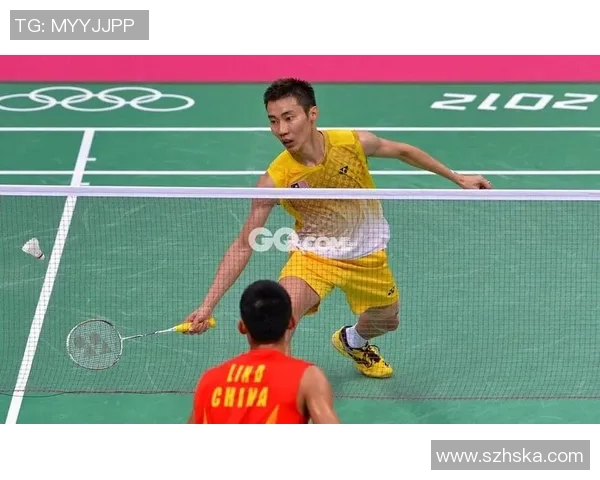 北京羽毛球队与深圳羽毛球队赛后复盘分析力量对比与战术探讨